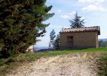 Foto 43 - Rustico Villa Marnacchia, Amandola - foto 41