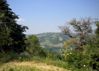 Foto 60 - Rustico Villa Marnacchia, Amandola - foto 58