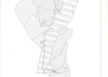 Foto 2 - Terreno agricolo Polesio, Ascoli Piceno - foto 2