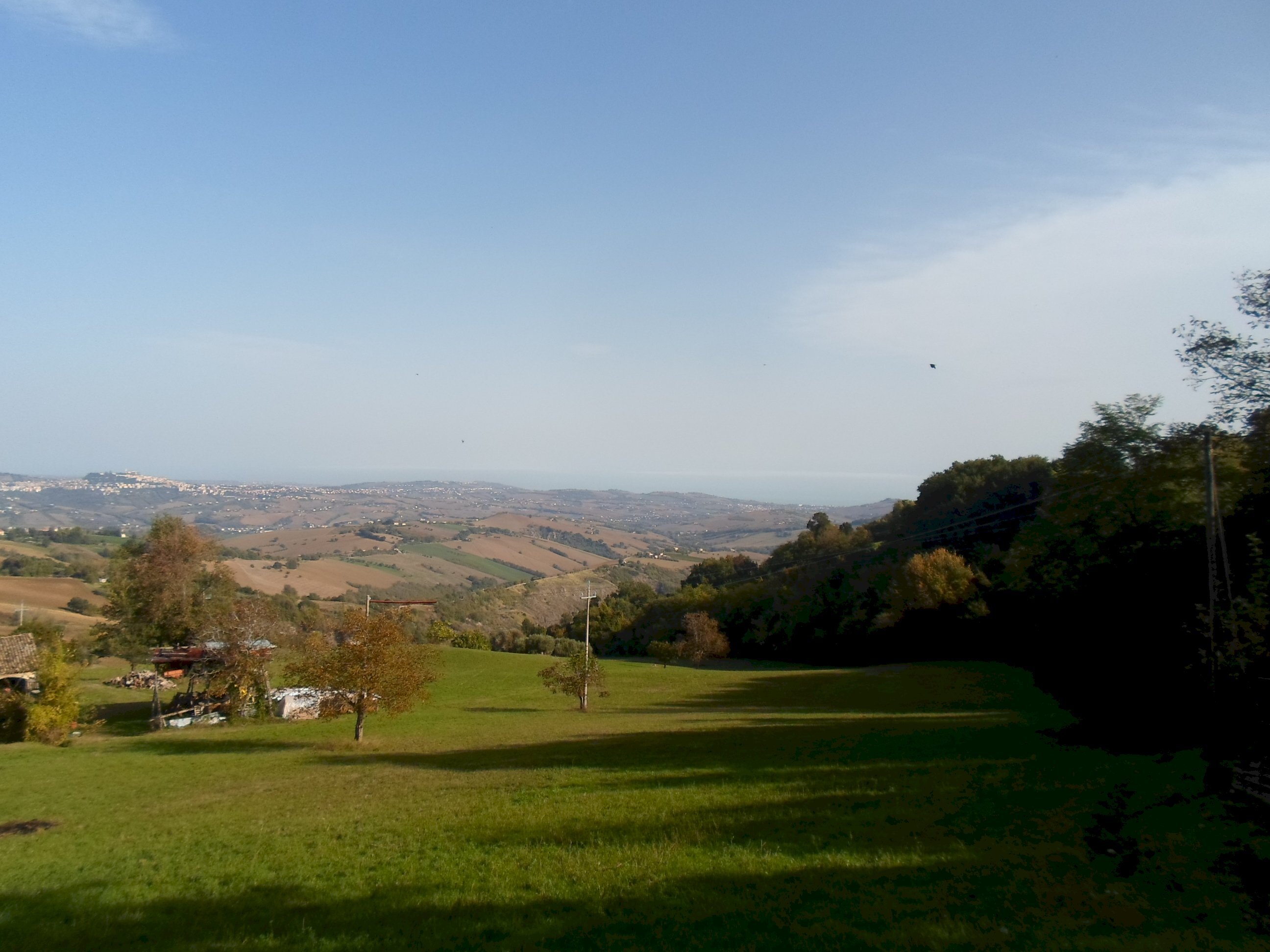 Foto 3 - Rustico C.da Santa Maria Del Soccorso, Monterubbiano - foto 3