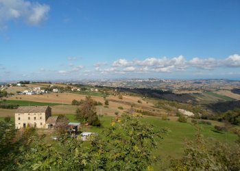 Foto 12 - Rustico C.da Santa Maria Del Soccorso, Monterubbiano - foto 12