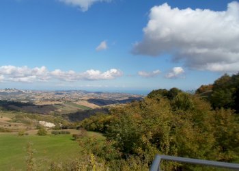 Foto 14 - Rustico C.da Santa Maria Del Soccorso, Monterubbiano - foto 14