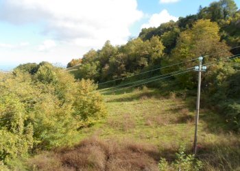 Foto 18 - Rustico C.da Santa Maria Del Soccorso, Monterubbiano - foto 18