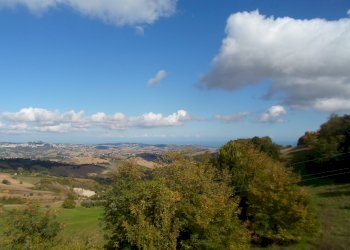 Foto 20 - Rustico C.da Santa Maria Del Soccorso, Monterubbiano - foto 20