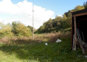 Foto 44 - Rustico C.da Santa Maria Del Soccorso, Monterubbiano - foto 44