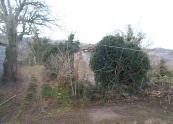 Foto 29 - Rustic C.da Ripacorvara, Force - photo 29