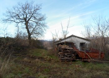 Foto 32 - Rustic C.da Ripacorvara, Force - photo 32