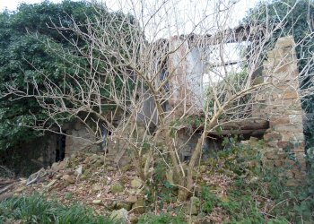 Foto 33 - Rustic C.da Ripacorvara, Force - photo 33