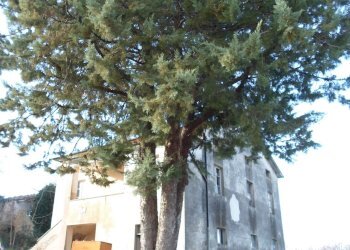 Foto 40 - Rustic C.da Ripacorvara, Force - photo 40