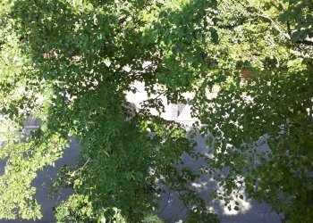 Foto 16 - Appartamento Via Cesare Battisti, Amandola - foto 16