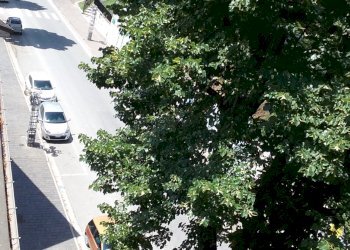 Foto 22 - Appartamento Via Cesare Battisti, Amandola - foto 22