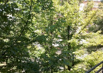 Foto 24 - Appartamento Via Cesare Battisti, Amandola - foto 24