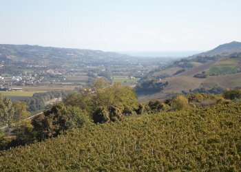 Foto 4 - Stable - Palace C.da Montecucco, Carassai - photo 4