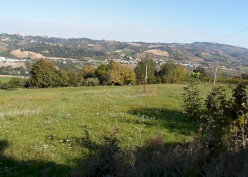 Foto 29 - Stable - Palace C.da Montecucco, Carassai - photo 29