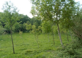 Foto 7 - Rustico Loc. Botondolo, San Ginesio - foto 7