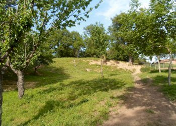 Foto 34 - Rustico Loc. Botondolo, San Ginesio - foto 34