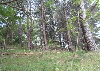 Foto 35 - Rustico Loc. Botondolo, San Ginesio - foto 35