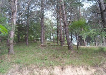 Foto 36 - Rustico Loc. Botondolo, San Ginesio - foto 36