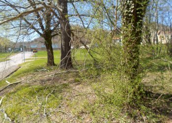 Foto 7 - Terreno edificabile Santa Maria A Terme, Comunanza - foto 7