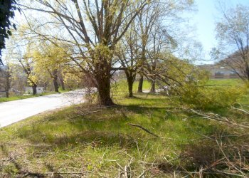 Foto 26 - Terreno edificabile Santa Maria A Terme, Comunanza - foto 26