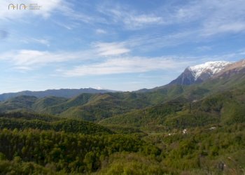 Foto 2 - Terreno edificabile Zona C2, Montemonaco - foto 2