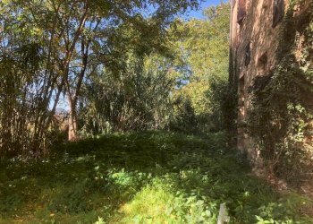 Foto 19 - Rustic C.da Piane Vecchie
 
snc, Comunanza - photo 19