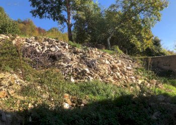 Foto 37 - Rustic C.da Piane Vecchie
 
snc, Comunanza - photo 37