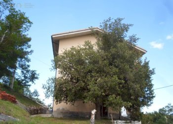 Foto 4 - Apartment Strada Scalelle
 
2, Roccafluvione - photo 4