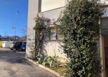 Foto 16 - Ufficio Via degli Orti
 
3, Comunanza - foto 16