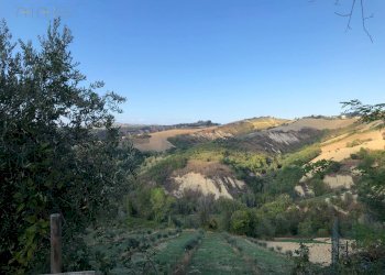 Foto 6 - Rustico C.da Magnola, Ripatransone - foto 6