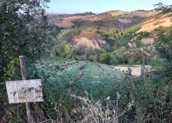 Foto 7 - Rustico C.da Magnola, Ripatransone - foto 7