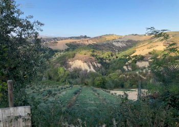 Foto 8 - Rustico C.da Magnola, Ripatransone - foto 8