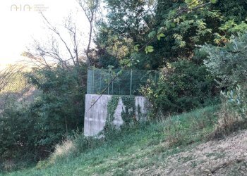 Foto 9 - Rustico C.da Magnola, Ripatransone - foto 9