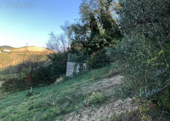 Foto 10 - Rustico C.da Magnola, Ripatransone - foto 10