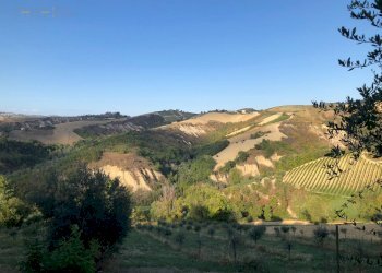 Foto 11 - Rustico C.da Magnola, Ripatransone - foto 11