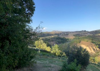 Foto 13 - Rustico C.da Magnola, Ripatransone - foto 13