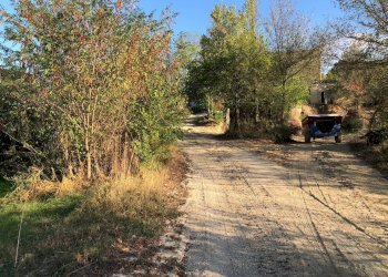 Foto 17 - Rustico C.da Magnola, Ripatransone - foto 17