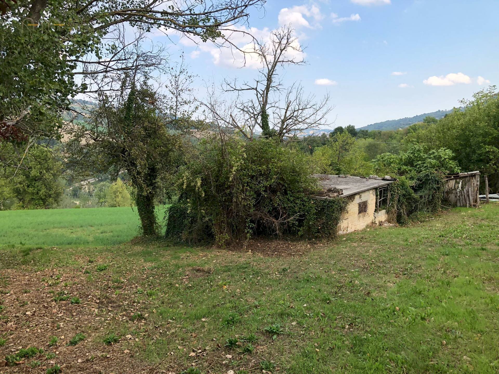 Foto 3 - Rustico C.da Pedegnano, Penna San Giovanni - foto 3