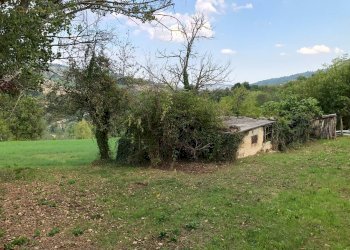 Foto 3 - Rustico C.da Pedegnano, Penna San Giovanni - foto 3