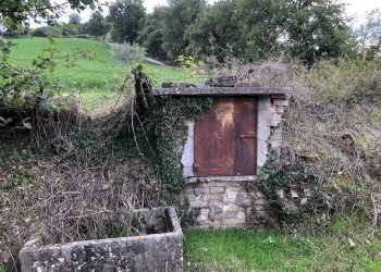 Foto 4 - Rustico C.da Pedegnano, Penna San Giovanni - foto 4