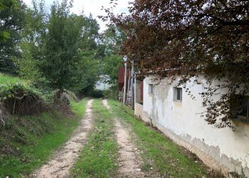 Foto 5 - Rustico C.da Pedegnano, Penna San Giovanni - foto 5