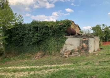 Foto 7 - Rustico C.da Pedegnano, Penna San Giovanni - foto 7