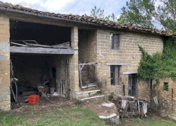 Foto 12 - Rustico C.da Pedegnano, Penna San Giovanni - foto 12