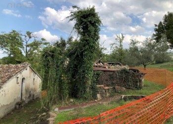 Foto 13 - Rustico C.da Pedegnano, Penna San Giovanni - foto 13