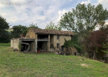 Foto 15 - Rustico C.da Pedegnano, Penna San Giovanni - foto 15