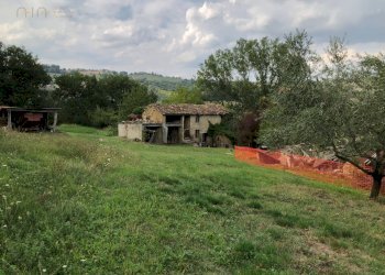 Foto 18 - Rustico C.da Pedegnano, Penna San Giovanni - foto 18