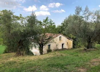 Foto 19 - Rustico C.da Pedegnano, Penna San Giovanni - foto 19