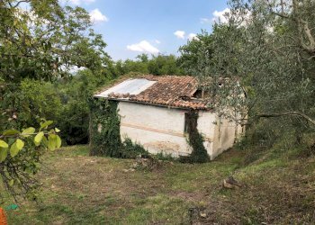 Foto 21 - Rustico C.da Pedegnano, Penna San Giovanni - foto 21