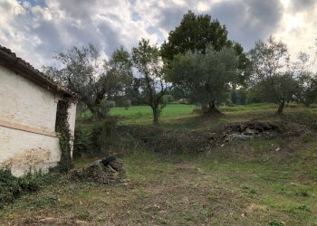 Foto 23 - Rustico C.da Pedegnano, Penna San Giovanni - foto 23