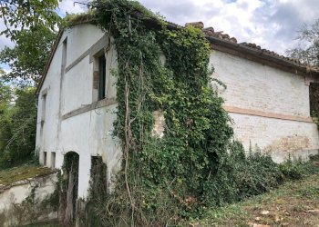 Foto 25 - Rustico C.da Pedegnano, Penna San Giovanni - foto 25